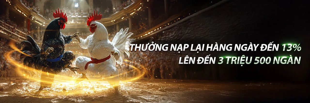 Hình ảnh đại diện cho Tuân thủ GDPR và bảo mật dữ liệu tại 33vin casino