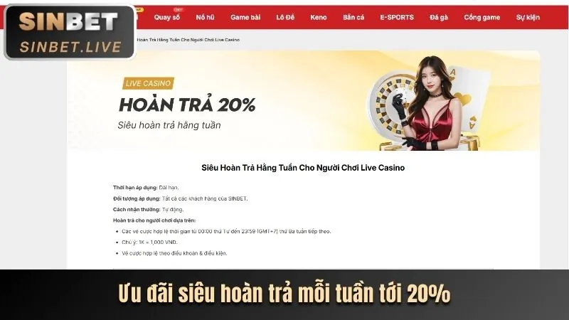 Các đặc quyền VIP độc quyền tại 33vin Casino